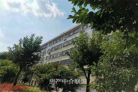 孔府家园3室1厅1卫80㎡带附房
